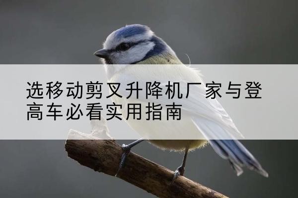 五华电动升降机厂家-选移动剪叉升降机厂家与登高车必看实用指南